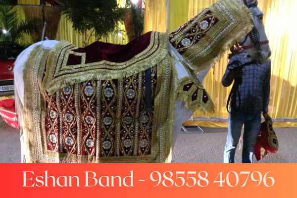 wedding band in chandigarh