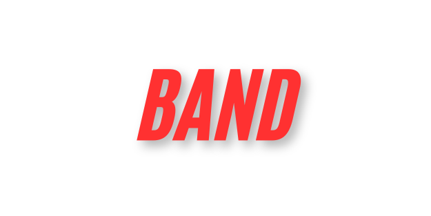 wedding band in chandigarh